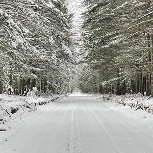 Meet your Posher, Heidi